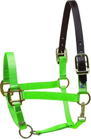 Perri's Premium Nylon Safety Halter in Saudi Arabia