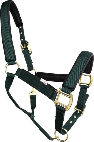 تشالنجر نايلون هورس نيوبرين مبطن هنتر أخضر قابل للتعديل نحاس 606173HG in Kuwait