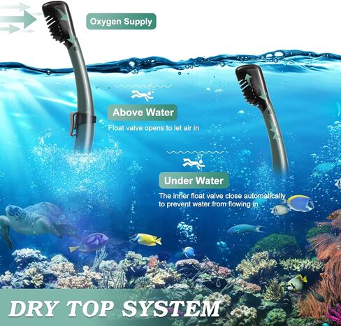 Snorkeling Gear for Adults, Dry Top Snorkel Mask Set 2 Pack Scuba Diving Mask Snorkel Gear Anti Fog Snorkeling Packages Tempered Glass Panoramic View, Black+Green in Saudi Arabia