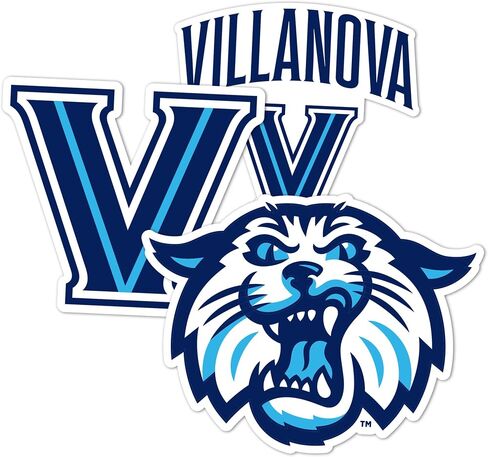Desert Cactus Villanova University Sticker VU Wildcats Vinyl Decals Laptop Water Bottle Car Scrapbook T5 (Type 5-2) in Saudi Arabia