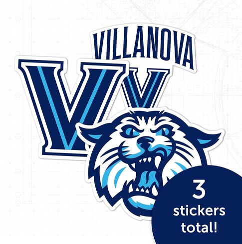 Desert Cactus Villanova University Sticker VU Wildcats Vinyl Decals Laptop Water Bottle Car Scrapbook T5 (Type 5-2) in Saudi Arabia