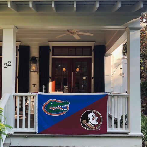 Desert Cactus Florida FSU Seminoles x UF Gators Banners 100% Polyester Indoor Outdoor 3x5 feet (House Rivals Flag) in Saudi Arabia