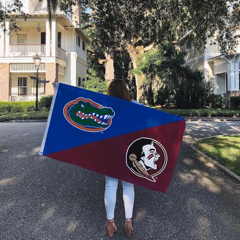 Desert Cactus Florida FSU Seminoles x UF Gators Banners 100% Polyester Indoor Outdoor 3x5 feet (House Rivals Flag) in Saudi Arabia