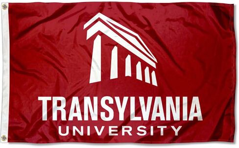 Translyvania Pioneers Wordmark Flag in Saudi Arabia