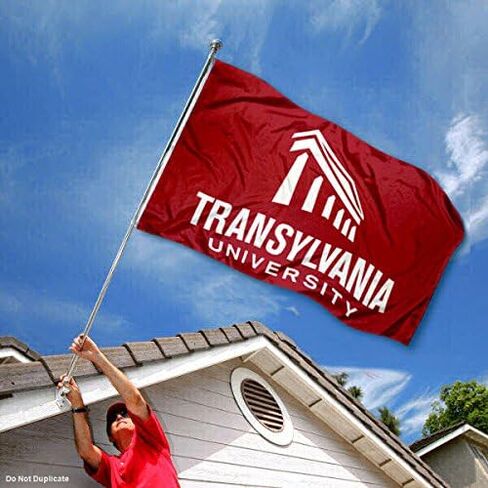 Translyvania Pioneers Wordmark Flag in Saudi Arabia