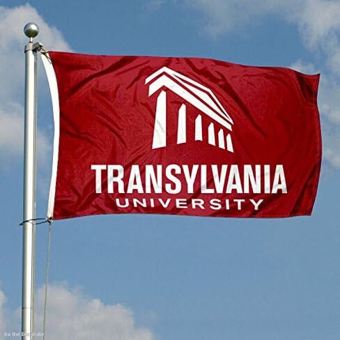 Translyvania Pioneers Wordmark Flag in Saudi Arabia
