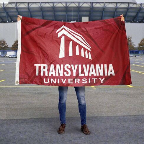 Translyvania Pioneers Wordmark Flag in Saudi Arabia