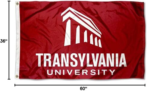 Translyvania Pioneers Wordmark Flag in Saudi Arabia