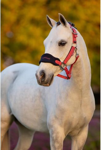 رسن LeMieux Mini Vogue/ياقة الرأس وحبل الرصاص - مثالي للمهور - قابل للتعديل عند الرصيف والاستطلاع in Kuwait