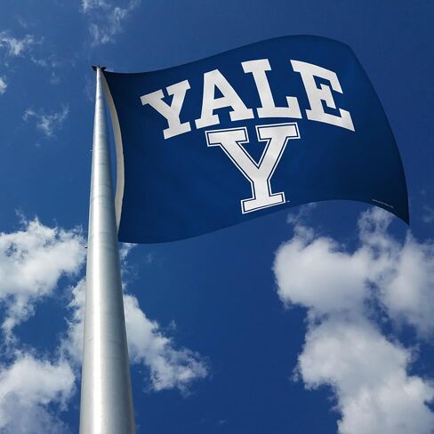 لافتة علم Rico Industries NCAA Yale Bulldogs مقاس 3 × 5 بوصات من جانب واحد - داخلي أو خارجي - ديكور منزلي in Saudi Arabia