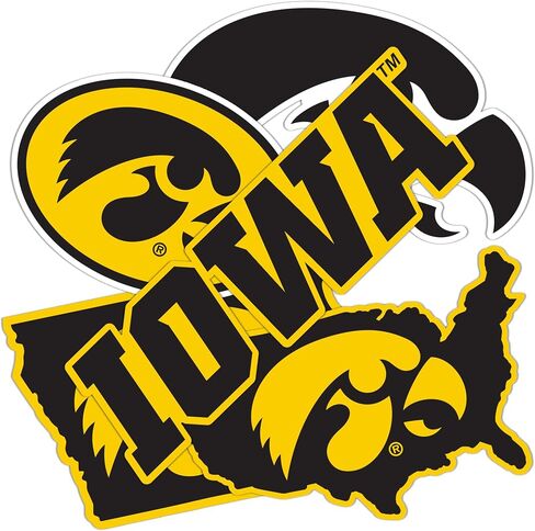 Desert Cactus University of Iowa Sticker Hawkeyes Sticker Vinyl Decals Laptop Water Bottle Car T2 (Type 2-2) in Saudi Arabia