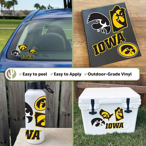 Desert Cactus University of Iowa Sticker Hawkeyes Sticker Vinyl Decals Laptop Water Bottle Car T2 (Type 2-2) in Saudi Arabia