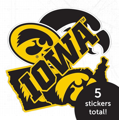 Desert Cactus University of Iowa Sticker Hawkeyes Sticker Vinyl Decals Laptop Water Bottle Car T2 (Type 2-2) in Saudi Arabia