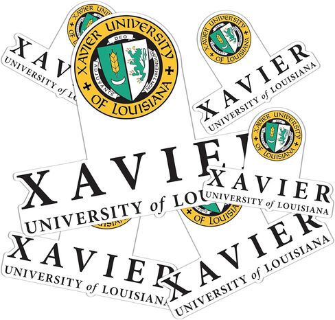 Desert Cactus Xavier University Sticker of Louisiana Gold XULA Vinyl Decals Laptop Water Bottle Car Scrapbook Sheet T3 (Type 3-1) in Saudi Arabia