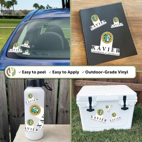 Desert Cactus Xavier University Sticker of Louisiana Gold XULA Vinyl Decals Laptop Water Bottle Car Scrapbook Sheet T3 (Type 3-1) in Saudi Arabia