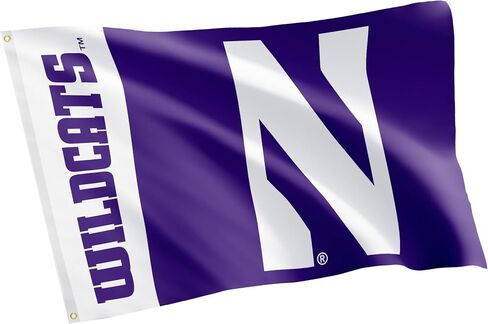 Desert Cactus Northwestern University Flag Wildcats NU Banners 100% Polyester Indoor Outdoor 3x5 feet Flags (Team Name) in Saudi Arabia