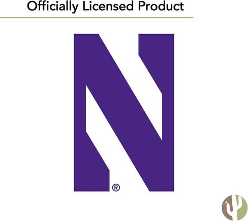 Desert Cactus Northwestern University Flag Wildcats NU Banners 100% Polyester Indoor Outdoor 3x5 feet Flags (Team Name) in Saudi Arabia