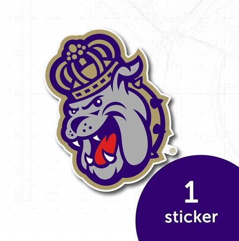 صبار الصحراء جيمس ماديسون جامعة JMU Dukes ملصق حائط من الفينيل‏ للكمبيوتر المحمول زجاجة ماء سيارة سجل القصاصات ملصق (IND 006) in Saudi Arabia