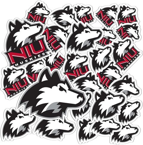 Desert Cactus Northern Illinois University Sticker NIU Huskies Sticker Vinyl Decals Laptop Water Bottle Car Scrapbook T1 (Type 1-1) in Saudi Arabia