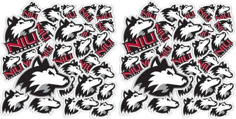 Desert Cactus Northern Illinois University Sticker NIU Huskies Sticker Vinyl Decals Laptop Water Bottle Car Scrapbook T1 (Type 1-1) in Saudi Arabia
