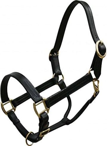 Mini Size Leather Halter w/Brass Hardware in Saudi Arabia
