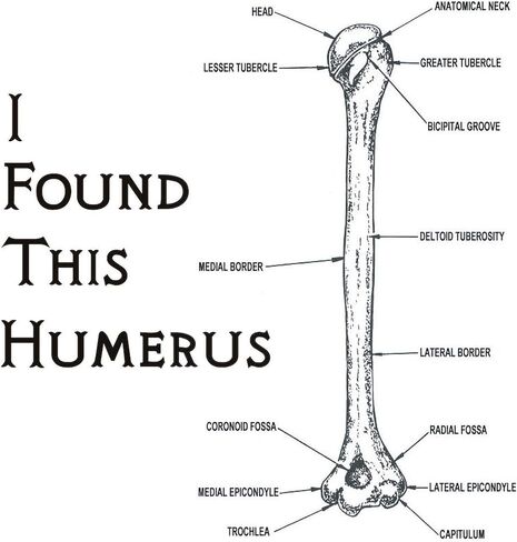 CafePress I Find This Humerus Mug 11 oz (325 ml) Ceramic Coffee Mug in Saudi Arabia
