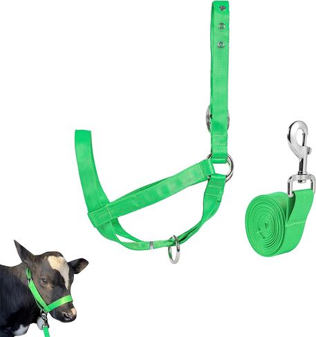 perixir Cow Halter Cattle Halters Calf Halter with Leading Rope，Adjustable Nylon Livestock Cattle Halter，for Miniature Horse Donkey Goat Foal in Saudi Arabia