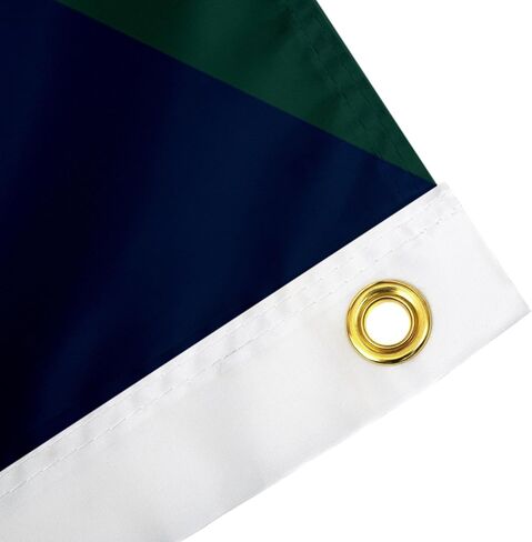 Desert Cactus Michigan Wolverines and Michigan State Spartans Rivalry Flag 3 x 5 feet Split Design Banner Durable 100% Polyester for Indoor or Outdoor Use (House Rivals Flag) in Saudi Arabia