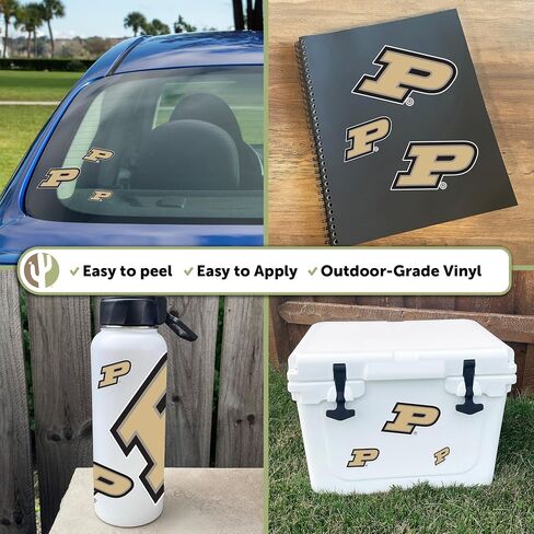 Desert Cactus Purdue University Sticker Boilermakers Vinyl Decals Laptop Water Bottle Car Scrapbook T3 (Type 3-1) in Saudi Arabia