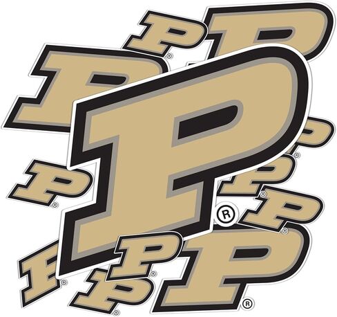 Desert Cactus Purdue University Sticker Boilermakers Vinyl Decals Laptop Water Bottle Car Scrapbook T3 (Type 3-1) in Saudi Arabia