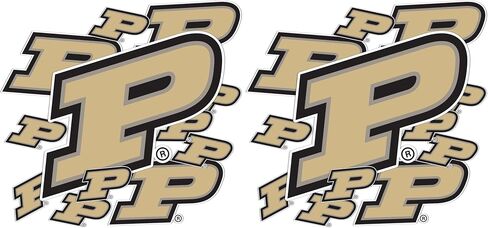 Desert Cactus Purdue University Sticker Boilermakers Vinyl Decals Laptop Water Bottle Car Scrapbook T3 (Type 3-1) in Saudi Arabia