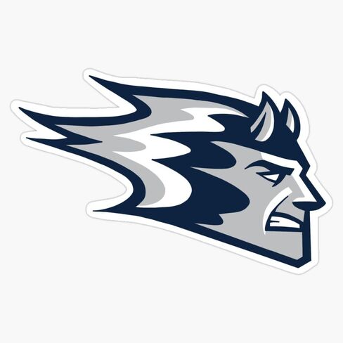 Uw Stout Blue Devils Sticker Vinyl Waterproof Sticker Decal Car Laptop Wall Window Bumper Sticker 5" in Kuwait