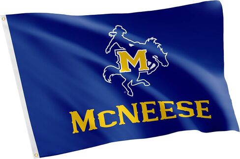 Desert Cactus McNeese State University MNSU Flag - 3 x 5 Feet Cowboys Banner, Indoor/Outdoor Durable Fabric, 100% Polyester Design (Style 1) in Saudi Arabia