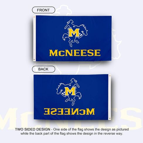 Desert Cactus McNeese State University MNSU Flag - 3 x 5 Feet Cowboys Banner, Indoor/Outdoor Durable Fabric, 100% Polyester Design (Style 1) in Saudi Arabia