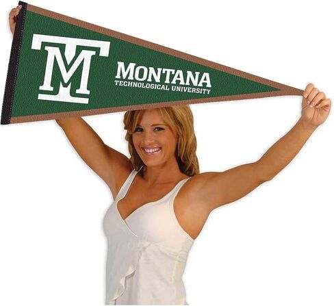 شركة College Flags & Banners Co. علم Montana Tech Diggers Wordmark Pennant in Kuwait