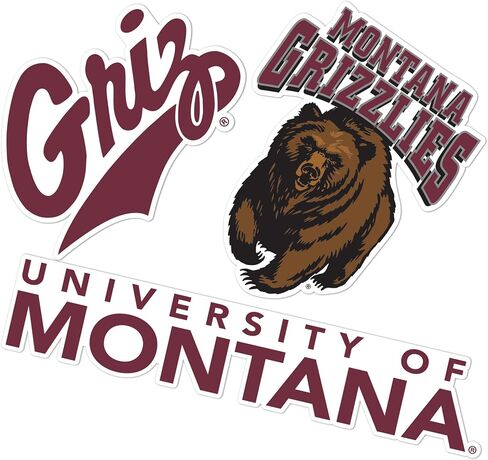 Desert Cactus University of Montana Sticker Grizzlies UM Griz UMont Vinyl Decals Laptop Water Bottle Car Scrapbook T5 (Type 5-1) in Saudi Arabia