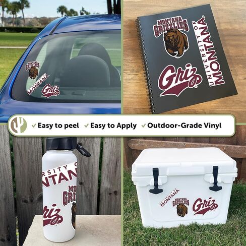 Desert Cactus University of Montana Sticker Grizzlies UM Griz UMont Vinyl Decals Laptop Water Bottle Car Scrapbook T5 (Type 5-1) in Saudi Arabia