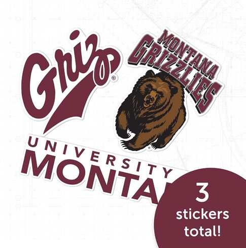 Desert Cactus University of Montana Sticker Grizzlies UM Griz UMont Vinyl Decals Laptop Water Bottle Car Scrapbook T5 (Type 5-1) in Saudi Arabia