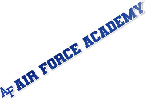 Desert Cactus United States Air Force Academy Sticker USAFA Fightin Falcons Name Logo Vinyl Decal Laptop Water Bottle Car Scrapbook (15 Inch Sticker) in Saudi Arabia