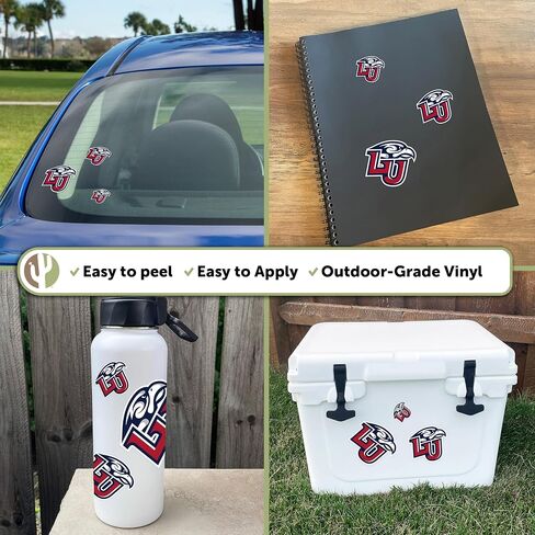 Desert Cactus Liberty University Sticker Flames Sticker Vinyl Decals Laptop Water Bottle Car Scrapbook Sheet T3 (Type 3-1) in Saudi Arabia