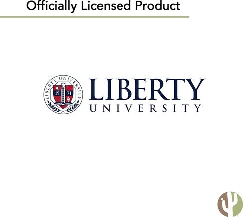 Desert Cactus Liberty University Sticker Flames Sticker Vinyl Decals Laptop Water Bottle Car Scrapbook Sheet T3 (Type 3-1) in Saudi Arabia