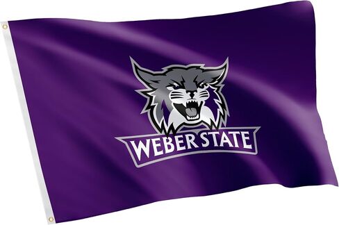 Desert Cactus Weber State University WSU Flag - 3 x 5 Feet Wildcats Banner, Indoor/Outdoor Durable Fabric, 100% Polyester Design (Style 1) in Saudi Arabia