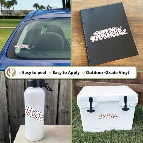 Desert Cactus College of Charleston Sticker Cougars C of C Vinyl Decal Laptop Water Bottle Car Scrapbook (IND 001) in Saudi Arabia