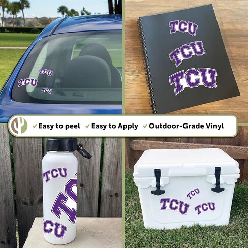 Desert Cactus Texas Christian University Sticker Horned Frogs TCU Vinyl Decals Laptop Water Bottle Car Scrapbook Sheet T3 (Type 3-1) in Saudi Arabia