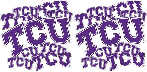 Desert Cactus Texas Christian University Sticker Horned Frogs TCU Vinyl Decals Laptop Water Bottle Car Scrapbook Sheet T3 (Type 3-1) in Saudi Arabia