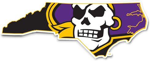 Desert Cactus East Carolina University Pirates ECU Vinyl Decal Laptop Water Bottle Car Scrapbook Sticker (IND 51) in Saudi Arabia