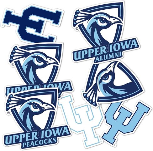 Desert Cactus Upper Iowa University Sticker Peacocks Vinyl Decals Laptop Water Bottle Car Scrapbook T2 (Type 2) in Saudi Arabia