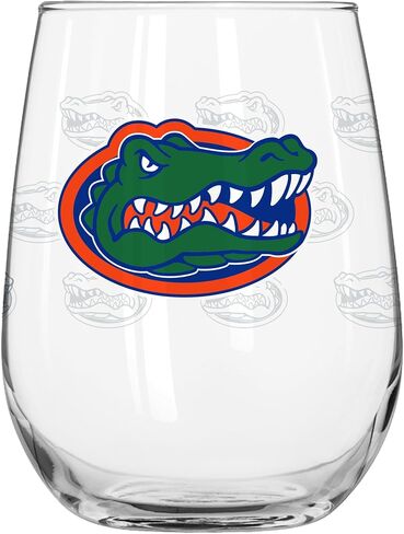 Logo Brands Wisconsin Badgers 16oz Satin Etch Curved Beverage Glass in Saudi Arabia