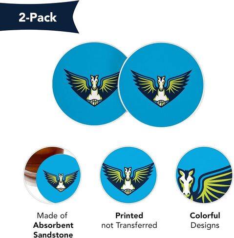 Desert Cactus Dallas Wings Car Accessories WNBA Women's Basketball League Absorbent Sandstone Cup Coasters Licensed Product Set of 2 (Design E) in Saudi Arabia