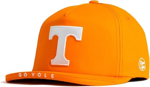 Dyme Lyfe Mens College Big Bill Snapback Hat OSFM in Saudi Arabia
